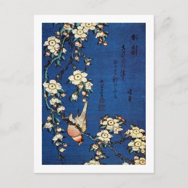 鳥と枝垂桜, 北斎 Bird and Weeping Cherry Tree, Hokusai Postcard (Front)