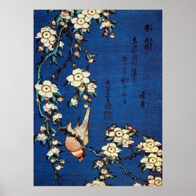 鳥と枝垂桜, 北斎 Bird and Weeping Cherry Tree, Hokusai Poster (Front)