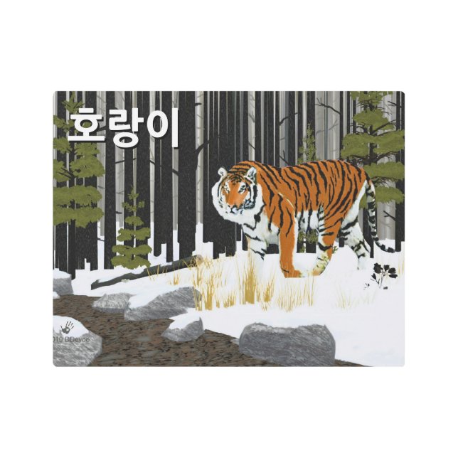 호랑이 (Siberian Tiger) Metal Print (Front)