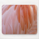 Search for flamingo mousepads Animal