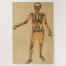 Search for human anatomy puzzles Skeleton