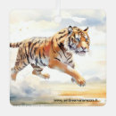 Search for tiger ornaments Nature