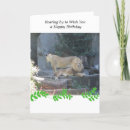 Search for lion birthday cards Zoo