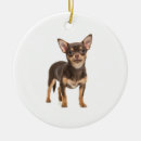 Search for chihuahua ornaments animal