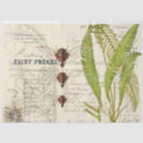 Search for apothecary tissue paper Ephemera