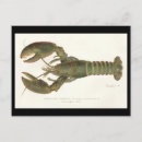 Search for lobster postcards Fish