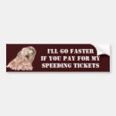 Search for funny sayings on bumper stickers Silly