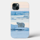 Search for bear iphone cases Iceberg