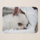 Search for pet photo blankets Animal