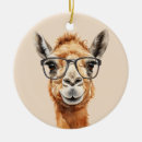 Search for camel ornaments Funny