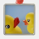 Search for rubber duck ornaments Indoors
