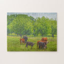 Search for texas puzzles Cow