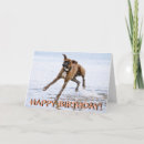 Search for boxer dog birthday cards Dogs