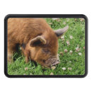 Search for pig trailer hitch covers Cute