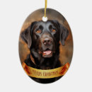 Search for chocolate lab ornaments Funny