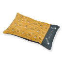 Search for cat furniture Modern