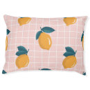 Search for lemon gifts Illustration
