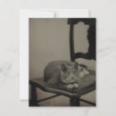 Search for victorian cat postcards Portrait