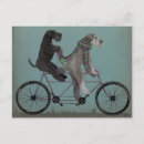 Search for schnauzer Dogs on bicycles