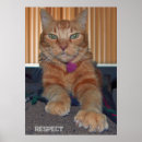 Search for respect posters Inspiration