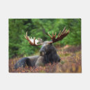 Search for moose doormats Wildlife