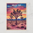 Search for joshua tree national park postcards California