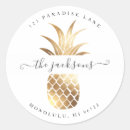 Search for pineapple stickers Watercolor