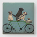 Search for pug clocks Cute dogs
