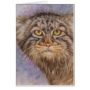 Search for pallas cat Wildlife