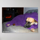 Search for fireplace posters Photography