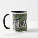 Search for africa mugs bird