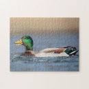 Search for duck puzzles Water