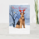 Search for airedale christmas cards Winter