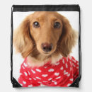 Search for dachshund gifts Animal