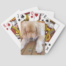 Search for golden retriever playing cards Fun