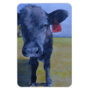 Search for cow magnets Birthday