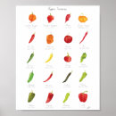 Search for infographic posters Watercolor