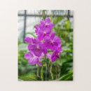 Search for orchid puzzles purple