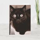 Search for black cat birthday cards Black and white