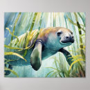 Search for manatee posters Florida
