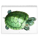 Search for turtle calendars Nature