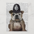 Search for bulldog Animals