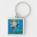 Search for swimming keychains Ocean