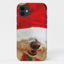 Search for bichon frise iphone cases Animal