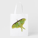 Search for luna moth gifts Butterfly