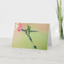 Search for hummingbird cards Tropical