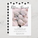 Search for pet adoption invitations Kitten