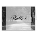 Search for table cards Party