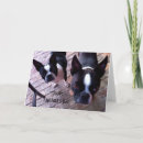 Search for boston terrier mothers day cards Puppy
