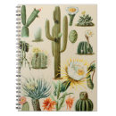 Search for cactus notebooks Illustration